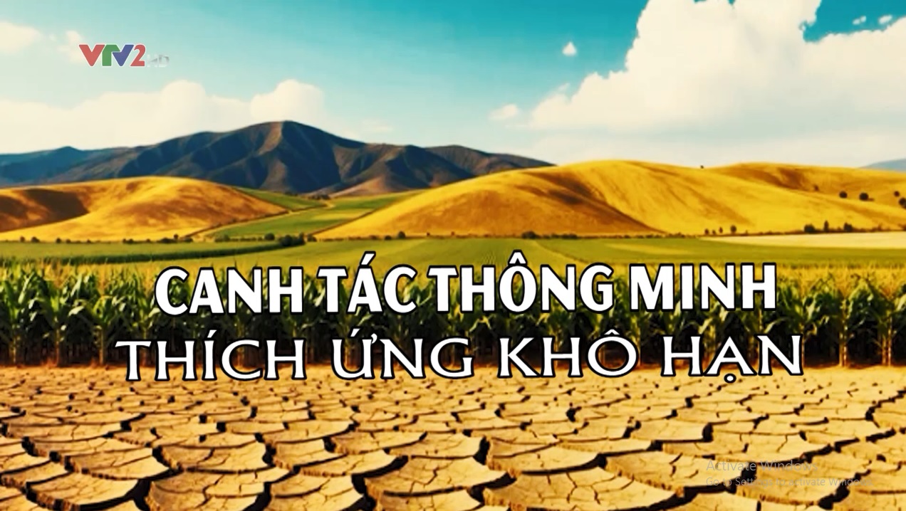 Đường tới nông trại: Canh tác thông minh thích ứng khô hạn