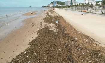 Rác thải biển tại Vũng Tàu: Nguồn gốc và giải pháp