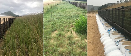 Mô hình giải pháp phục hồi và phát triển cồn cát ven biển có vai trò là tuyến đê biển tự nhiên gắn liền với bảo vệ môi trường sinh thái
