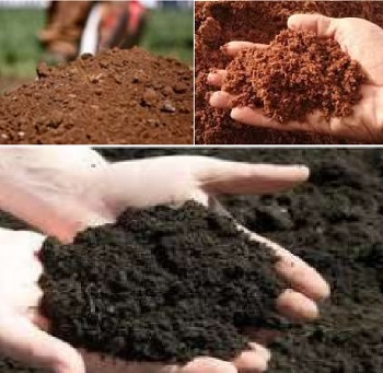 Nghiên cứu phát triển cảm biến đo độ ẩm đất tần số cao ứng dụng công nghệ fdr phục vụ tưới chính xác trong môi trường nhà kính, nhà màng