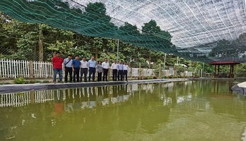 Đánh giá hiệu quả mô hình tích trữ nước phân tán dạng ao-mương kết hợp phục vụ cây ăn quả thích ứng với hạn mặn vùng đồng bằng sông Cửu Long